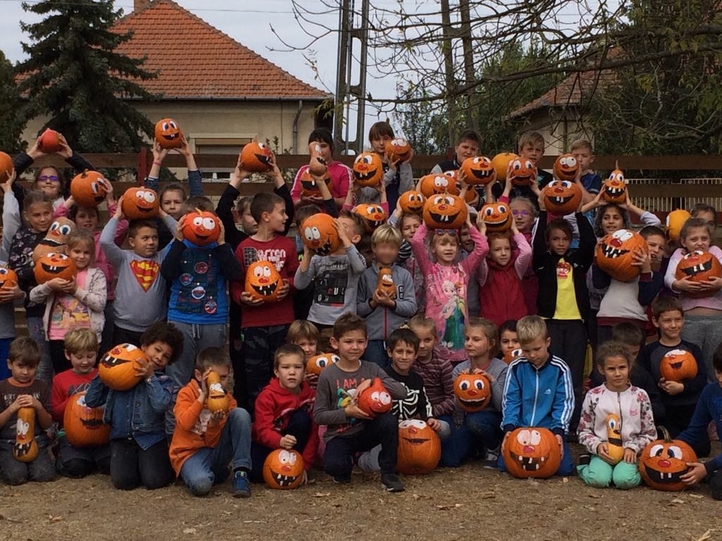 Tokfestes 20l