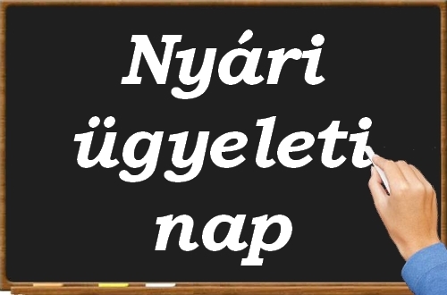 Nyari ugyeleti nap