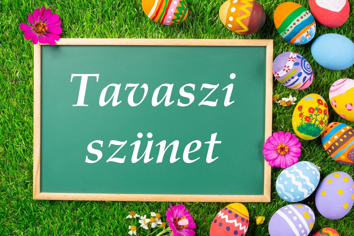 Colorful Easter egg on green grass