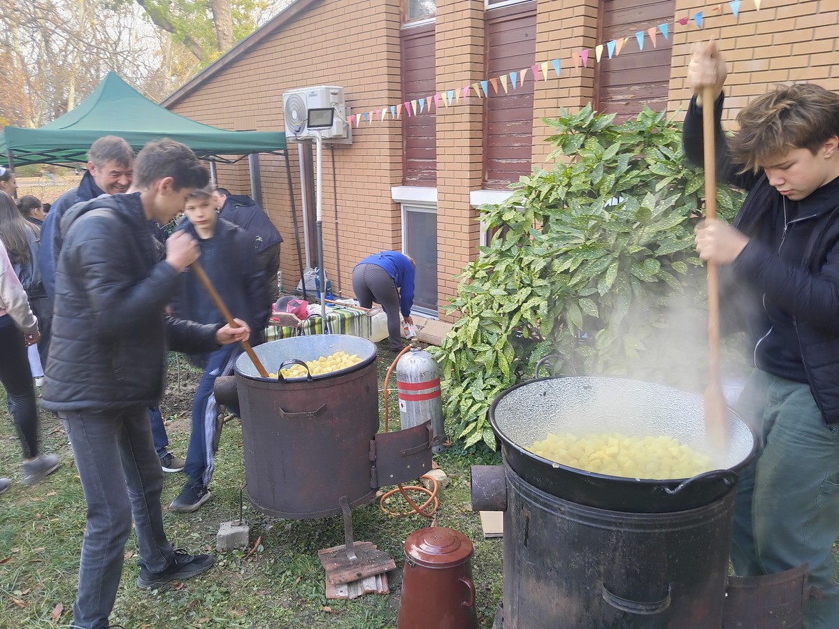 TestverDelutanja