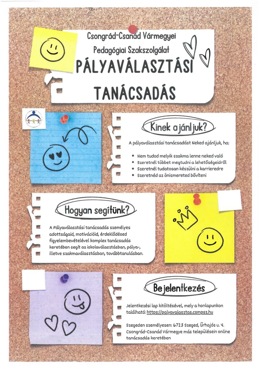 Palyavalasztasi tanacsadas